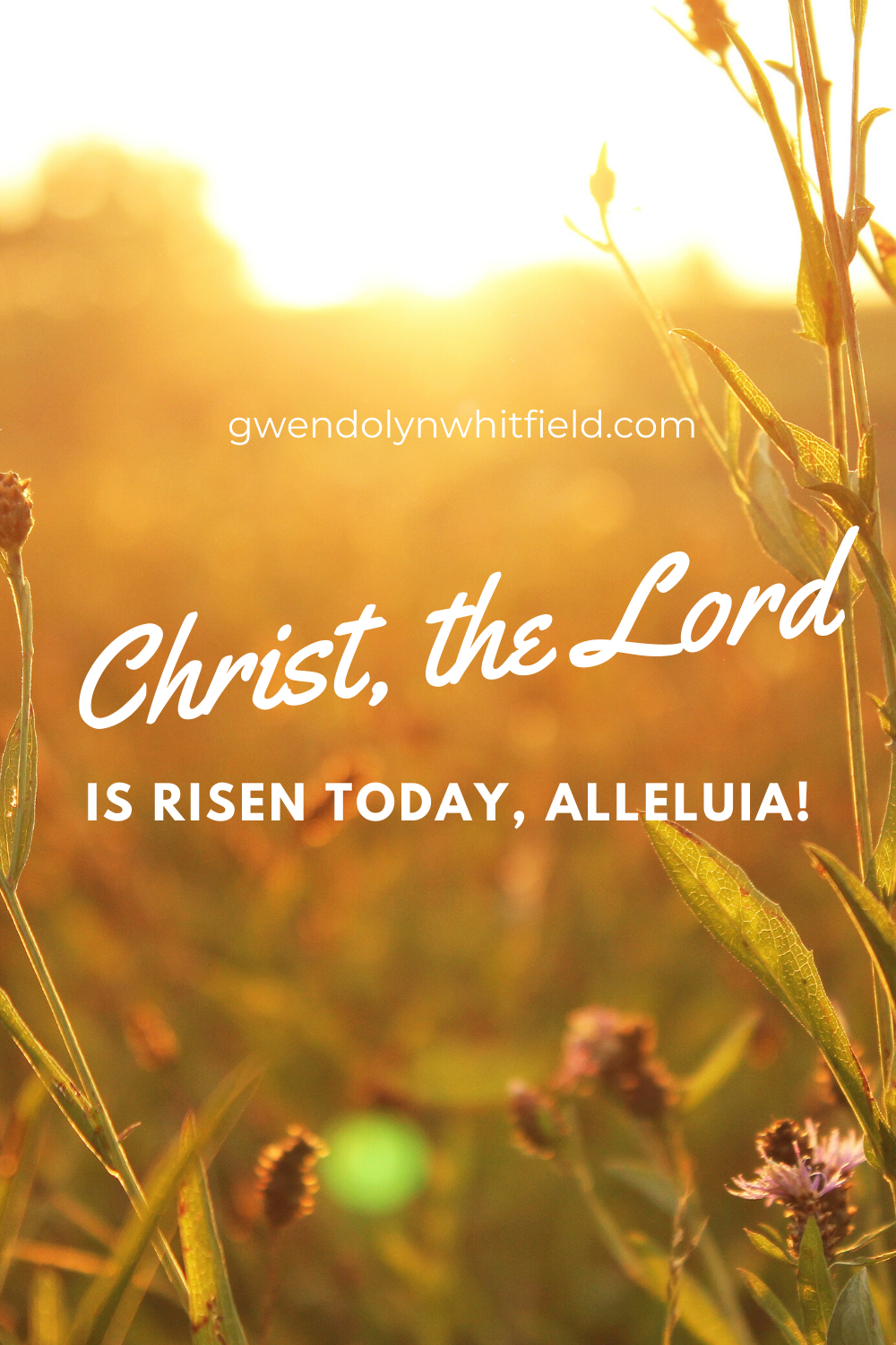 Christ the Lord is Risen Today